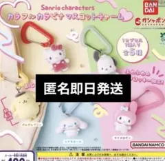 匿名即日発送▶︎サンリオ カラビナチャーム コンプリート