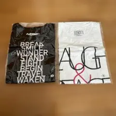 TNNK 西川貴教 ロングTシャツ Lサイズ 2色 バラ売り不可 - メルカリ