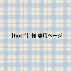 ho☾ ໋꙳様 専用ページ