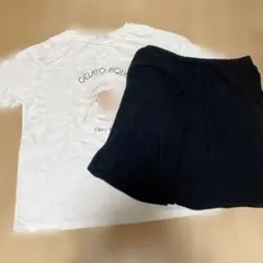 gelato pique ルームウェア 2点セット ジェラートピケ ジェラピケ