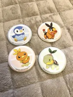 ポケモン 缶バッジセット 4種