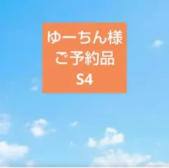 ゆーちん様　S4