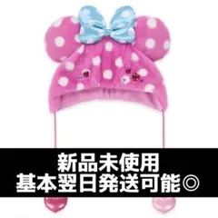 ディズニー・パルパルーザ ミニーのファンダーランド ファンキャップ