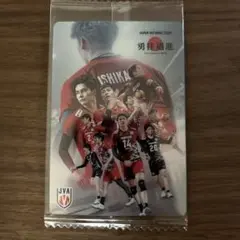 日本代表男子バレーボールツインウエハース集合A
