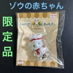 Item thumbnail for item 9882a2f4-9188-4511-baff-4d82718db689