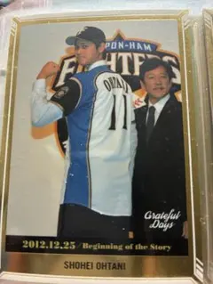 A*o様 大谷翔平 トレーディングカード 2012年入団