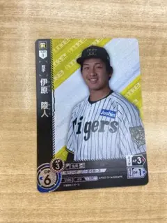 むらさきSunny様 リクエスト 2点 まとめ商品