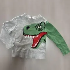 H&M 恐竜デザイン トレーナー EUR 92