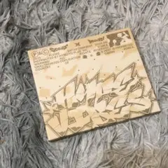 S.Coups x Mingyu 1st Mini