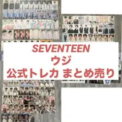 SEVENTEEN ウォヌ まとめ - メルカリ