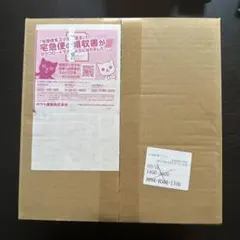 【新品未開封】ポケモンセンターセット　メガシンフォニア　 シュリンク付き