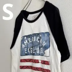 アメカジ ラグラン Tシャツ アメリカンイーグル ブラック×オフ白