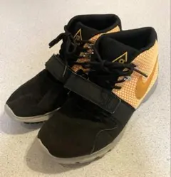 NIKE ACG TRAINERENDOR MIDスニーカー 25センチ