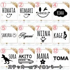 Item thumbnail for item d1f70110-af9c-4b10-9895-a831b658817c