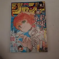 週刊少年ジャンプ 鬼滅の刃、約束のネバーランド特別読み切り - メルカリ