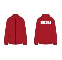 Item thumbnail for item a8595e11-372c-422b-a7e2-5ed5d17e4878