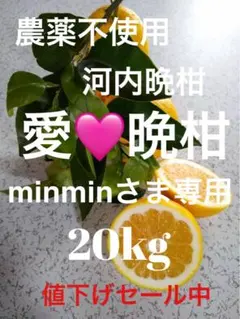 農薬不使用河内晩柑！「愛♡晩柑」木成りみかん20キロ！愛南町農園直送！のサムネイル