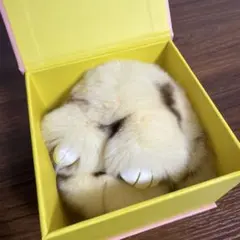 もふもふさんS マーブルプリン バッグチャーム