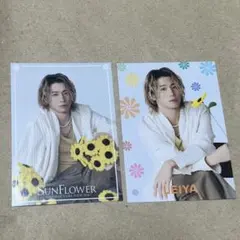 瀬口黎弥 フォトカ
