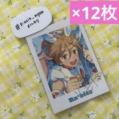 【12枚セット】 あんスタ ぱしゃっつ TRIP 友也
