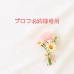 プロフ必読様 リクエスト 4点 まとめ商品