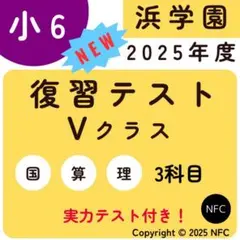 浜学園　小6理科　灘V０ 2026年最新】浜学園V0の人気アイテム - メルカリ
