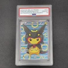 ARS10 】ポンチョを着たピカチュウ レックウザ黒 美品 - メルカリ