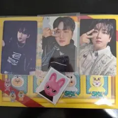 スキズ　SKZ TOY WORLD トイワールド　タワレコ特典　チャンビン