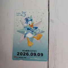 ディズニーシー25周年【リゾートライン切符】