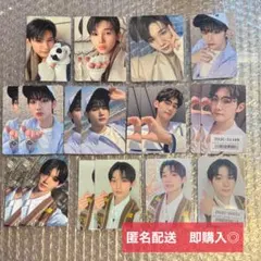 &TEAM JO トレカ 雪明かり 青嵐 五月雨 まとめ売り