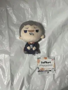 新品未使用 田中龍之介 ハイキュー‼︎ もちぴこぬいぐるみ④１