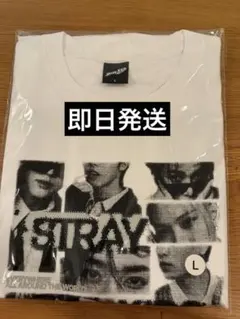 Stray Kids RUN IT Tシャツ 公式 フリーサイズ - メルカリ