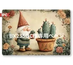 BX235QC様リクエスト 9点 まとめ商品