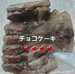 訳あり チョコレート味 チョコケーキ 香月堂アウトレットのサムネイル