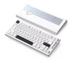 【新品・未開封】 Rainy75　限定色 Luna（冷月白） Cocoaスイッチ