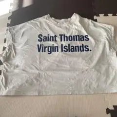 Item thumbnail for item 7fd5f701-e07b-464a-9964-ca50129f1443