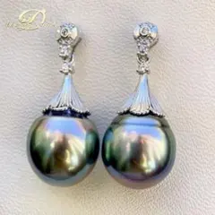 本真珠南洋黒蝶真珠グリーン虹色13.5×11.5㍉ピアスBL913