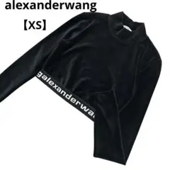 Alexander wang ベロアロゴTシャツ 2026年最新】alexander wang tシャツ ベロアの人気アイテム - メルカリ