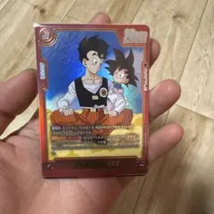 kncard76-5208 孫悟天/孫悟飯：青年期ST01-008 R パラレル