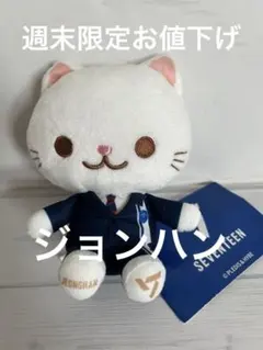 2026年最新】seventeen ぬいぐるみ 服の人気アイテム - メルカリ