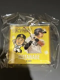 若鷹ガチャ VICTRYver 大関友久 大関 缶バッジ ホークス - メルカリ