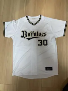 Item thumbnail for item c0b30f34-b48f-40ad-90b7-5ad9c84a58fb