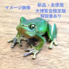 海洋堂 チョコQ チョコエッグ ハロウェルアマガエル 体色変化 カエルのサムネイル