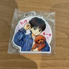SHOW-WA 向山毅 アクキーのサムネイル