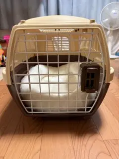 펫 캐리어