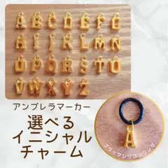 おちゃちゃ様専用♪選べるイニシャル♪ゴールド、ブラックリング、アンブレラマーカー