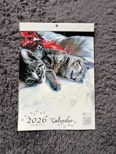 Hina様専用　オリジナルカレンダー