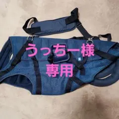 Item thumbnail for item 92847bde-2311-4200-a6cf-ffebfd0d55d0