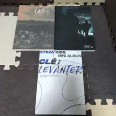 Item thumbnail for item f7104a73-4d3c-4b9a-b5a0-04e7370bf72f