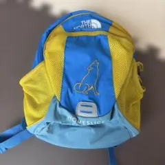 THE NORTH FACE HOMESLICE リュック